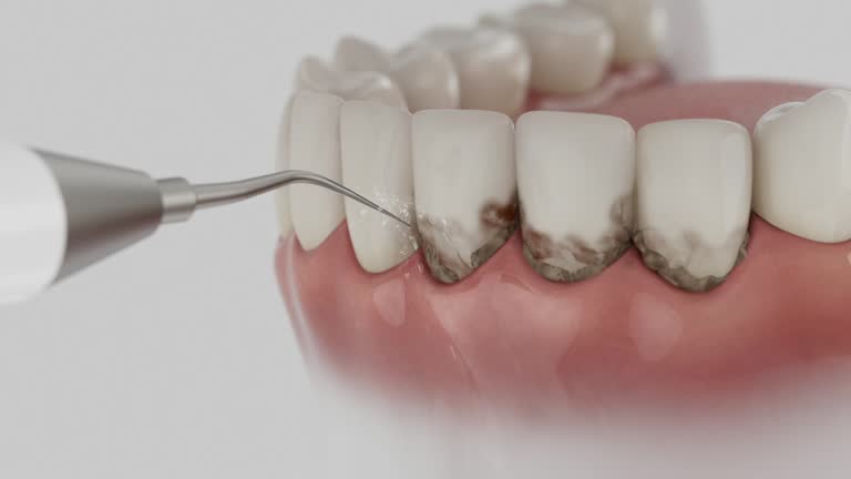 Reliable Dental contractor in Chambersburg, PA by Dentist Open Now